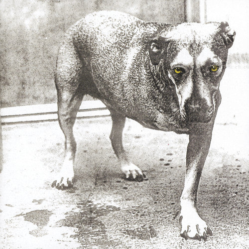 ALICE IN CHAINS CD, new/sealed