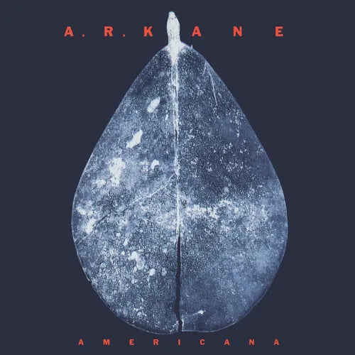 A.R. KANE Americana New Vinyl LP RSD 2022