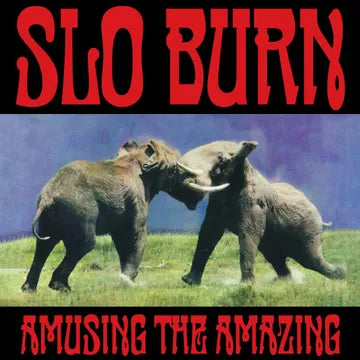 SLO BURN Amusing The Amazing RSD BF 2025