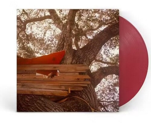 BACKSEAT LOVERS Waiting To Spill (Anniversary Edition) New Vinyl LP