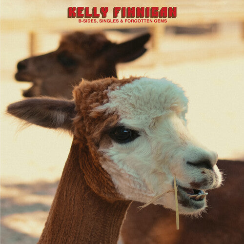 KELLY FINNIGAN B-Sides, Singles & Forgotten Gems New Vinyl LP