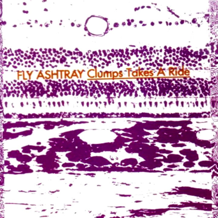 FLY ASHTRAY Clumps Takes A Ride Used CD, VG+