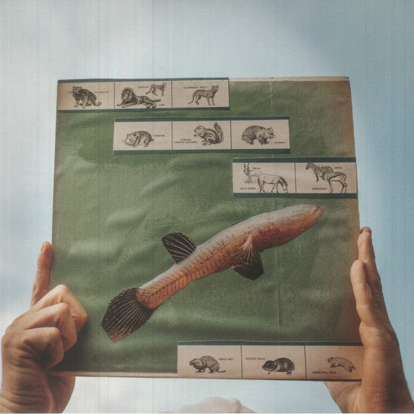 Cotton Jones - The River Strumming New Vinyl