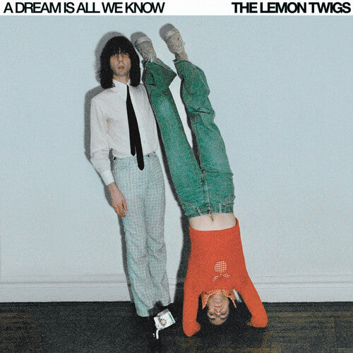 Lemon Twigs A Dream Is All We Know - new vinyl