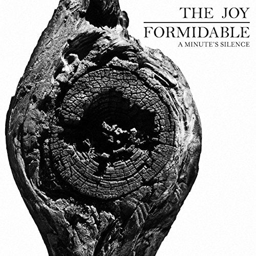 The Joy Formidable - Minute's Silence Vinyl (RSD 2013)