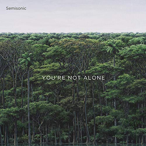 Semisonic - You're Not Alone - Vinyl