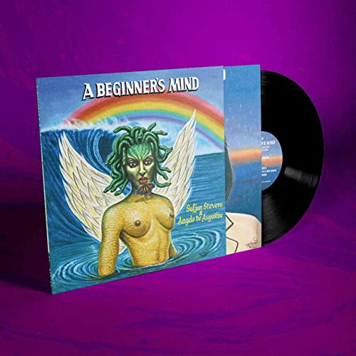 Sufjan Stevens - A Beginner's Mind - Vinyl