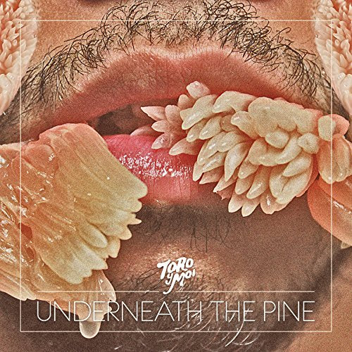 Toro Y Moi - Underneath The Pine - Vinyl