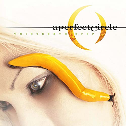 A Perfect Circle - Thirteenth Step - Vinyl