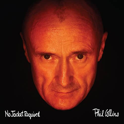 No Jacket Required - Vinyl