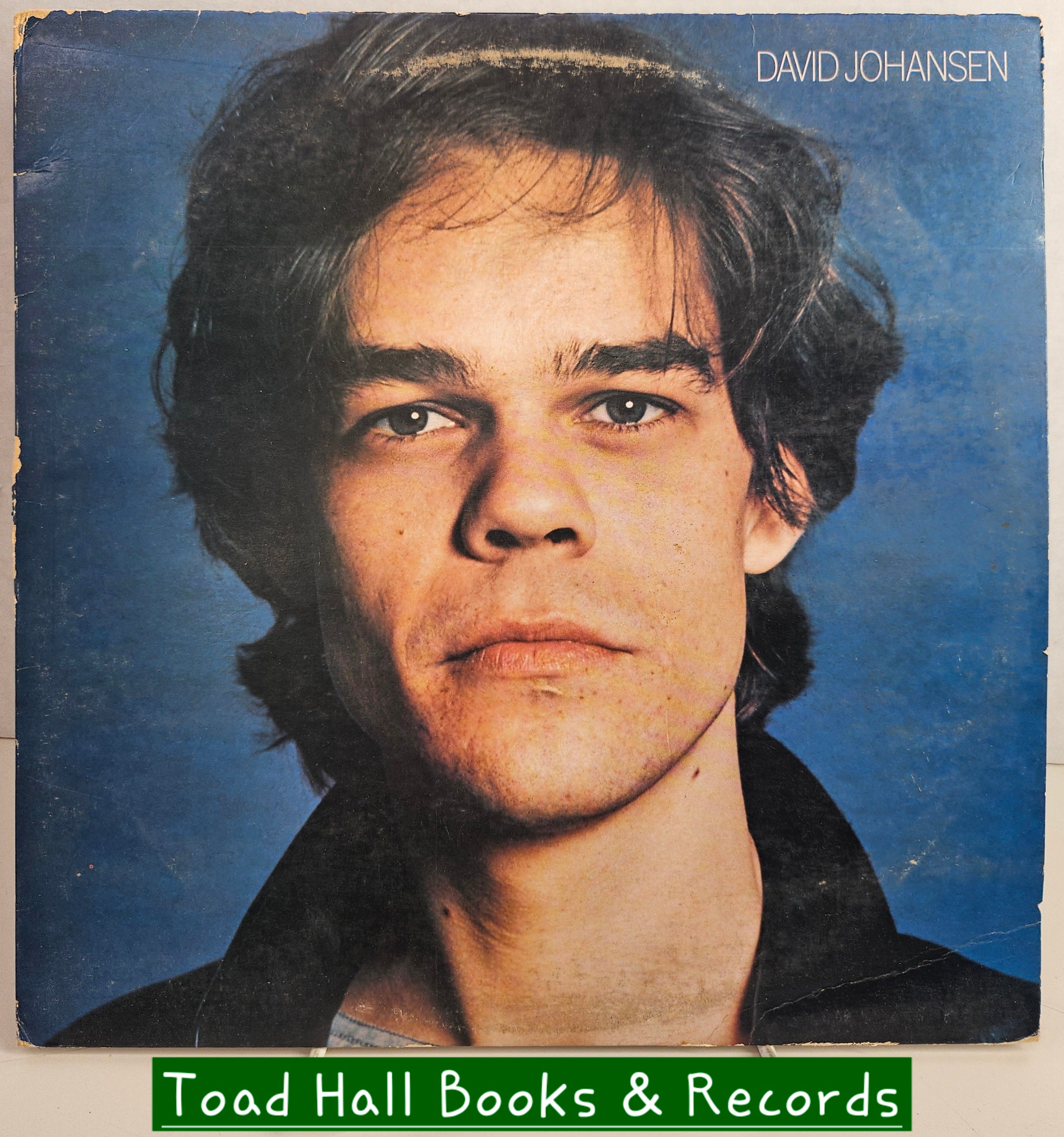 DAVID JOHANSEN David Johansen Self Titled Used Vinyl LP