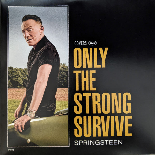 Bruce Springsteen - Only The Strong Survive - Vinyl
