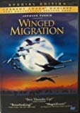 Winged Migration - DVD